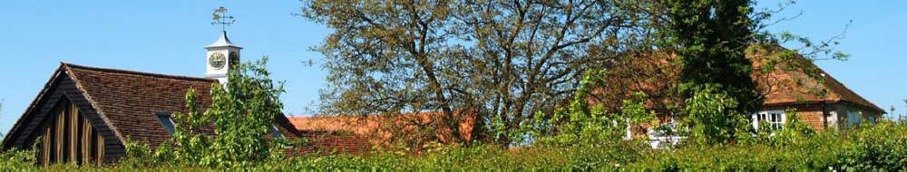 Rhodesian Ridgeback Welfare Trust and Rosehill Farm Boarding Kennels